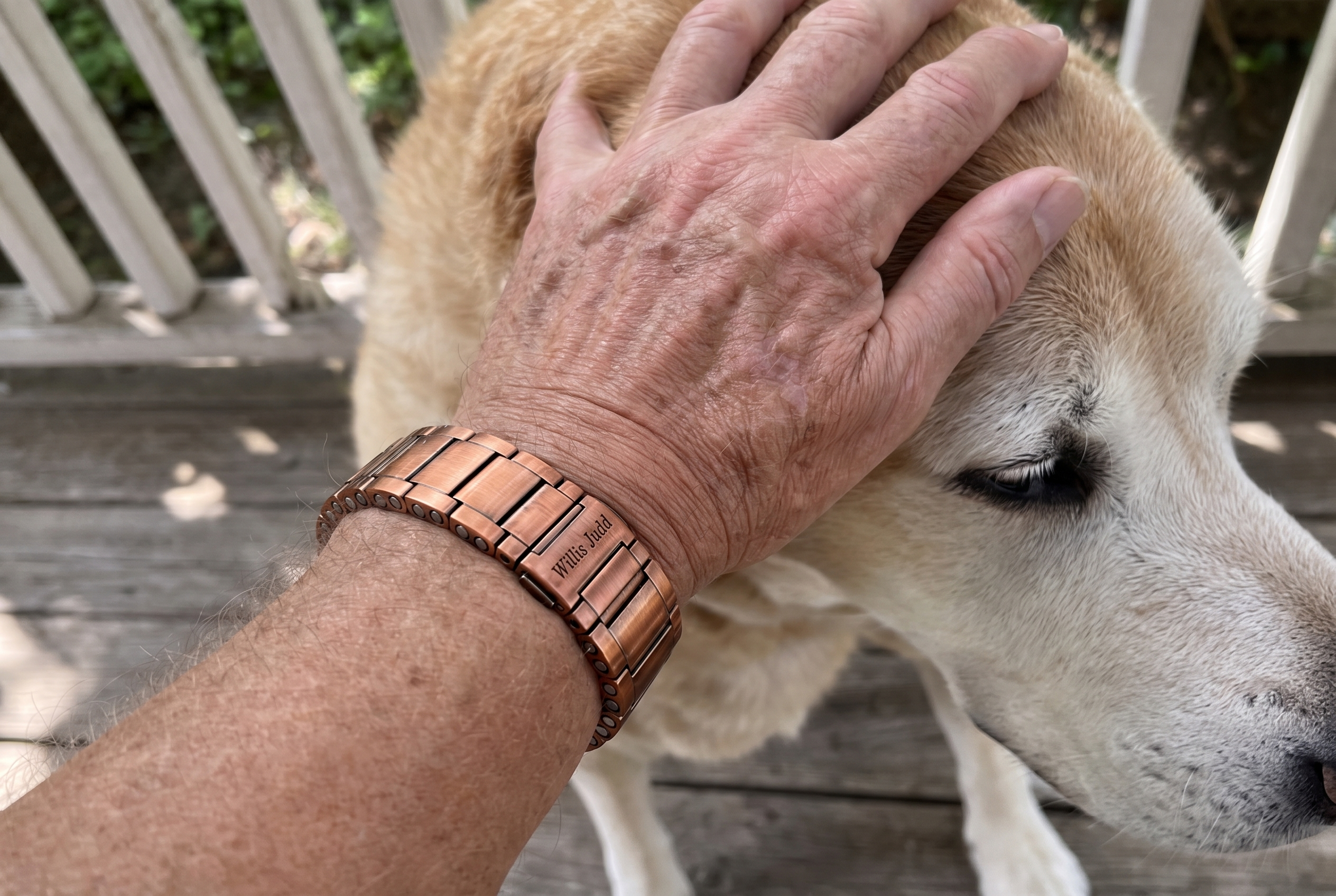 Sent in by a customer: bracelet on, hand on the dog. Illustrative photo.